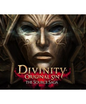 Divinity: Original Sin - The Source Saga GOG.com Key GLOBAL
